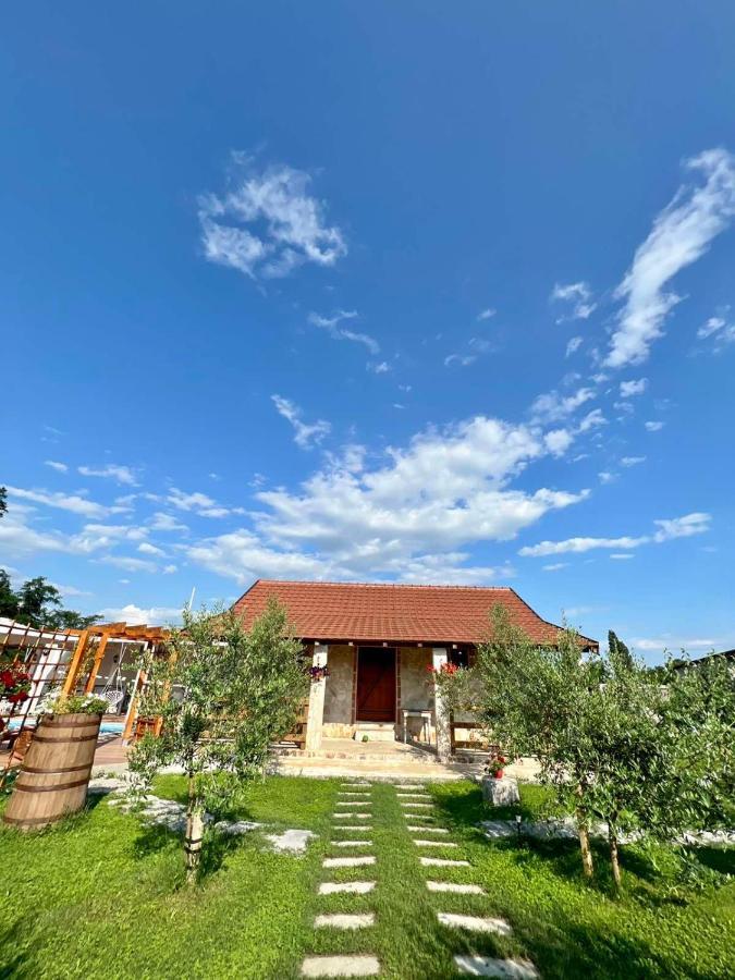 Burzan Bungalovi 波德戈里察 外观 照片